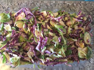 Brussels Sprouts and Purple Cabbage Slaw
