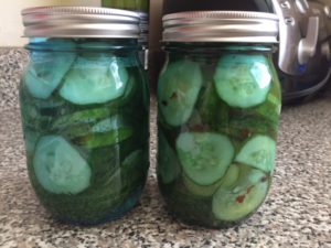 dill & spicy garlic pickles